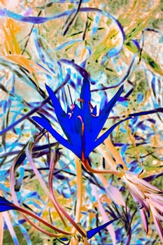 F 039C
